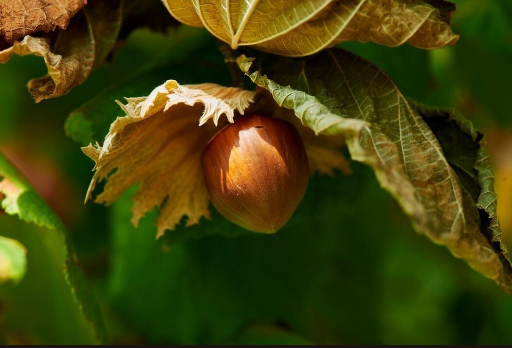 Pôle Agricole