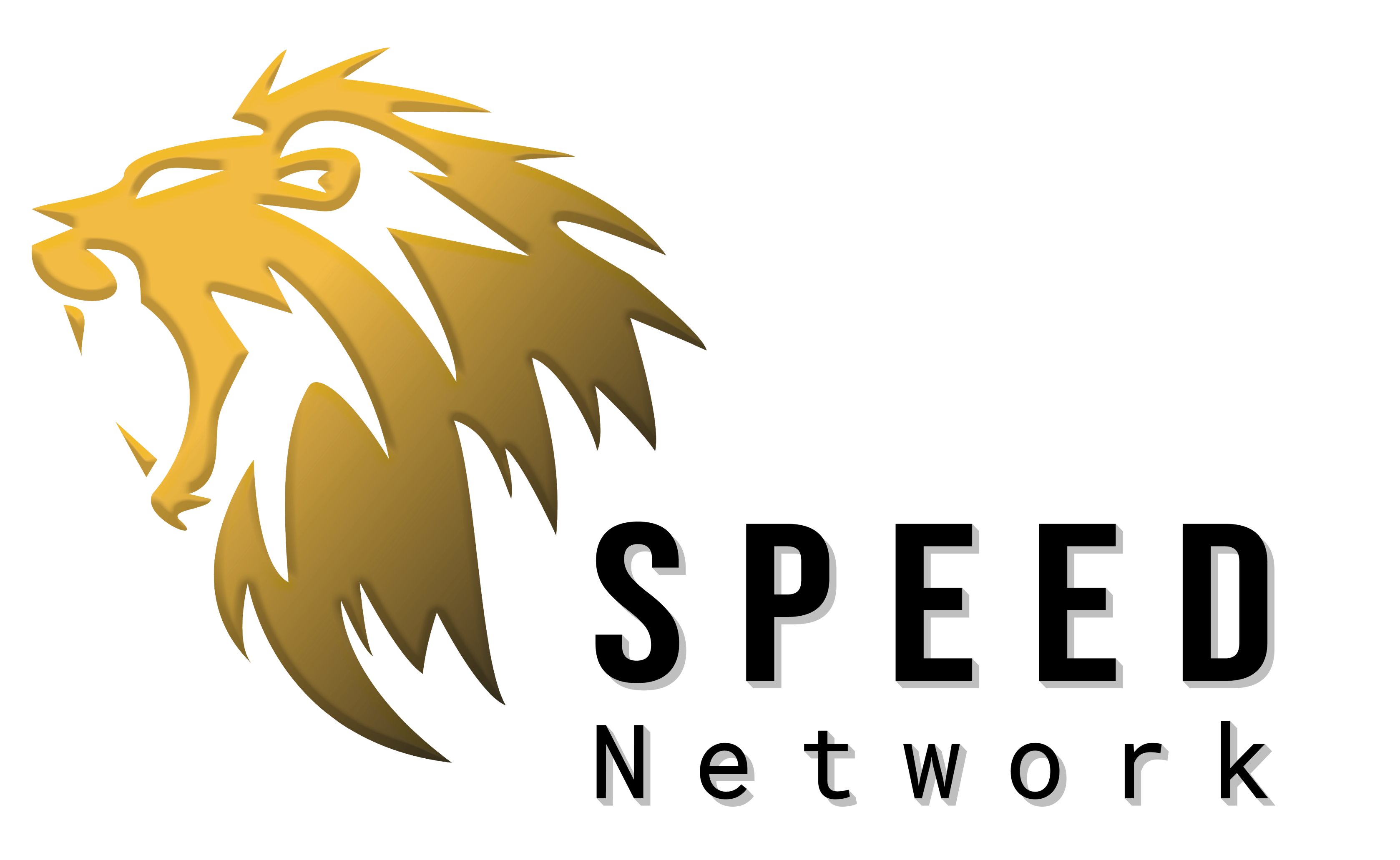 Speed Network